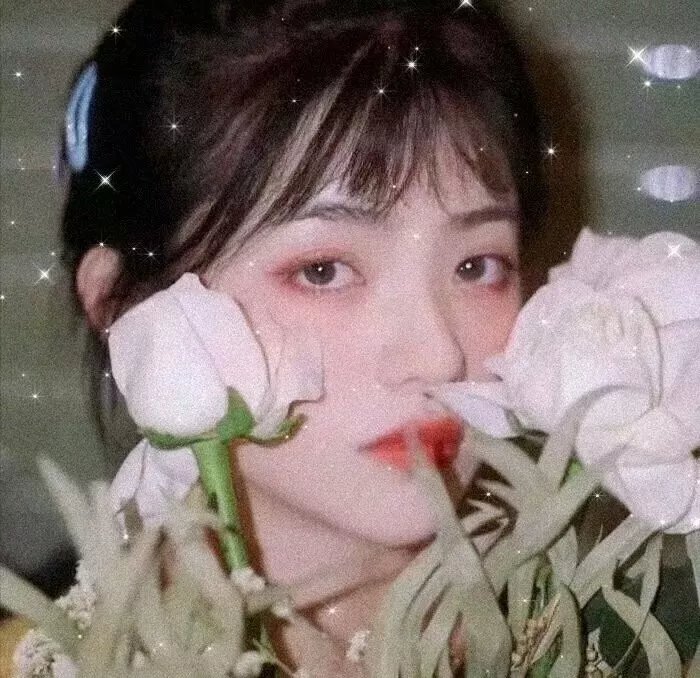 织物